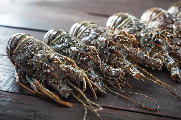 crawfish-lakewood-wa
